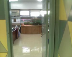 office fish tank