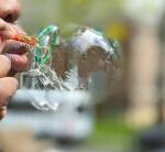 PXL_20220511_173615666.PORTRAIT