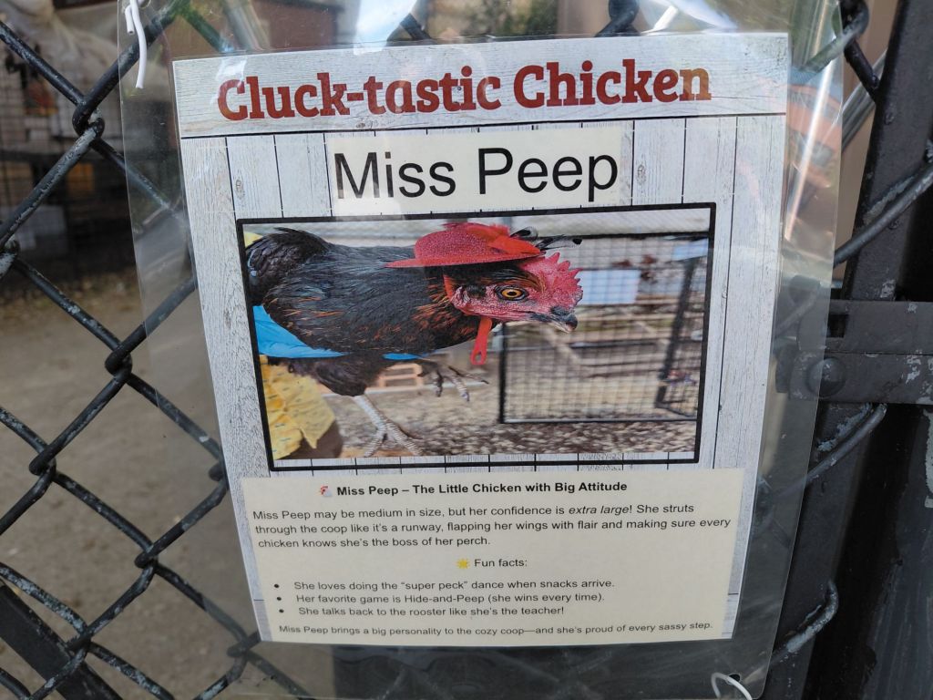 Ms Peep and&nbsp;Co